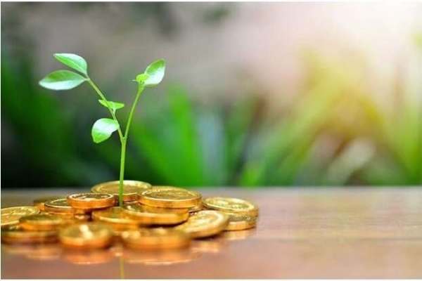 سرمایه-مردمی-کلید-توسعه-صنایعتبدیلی