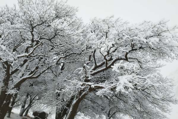 زمستان-رویایی-در-یاستی‌قلعه-ماهنشان