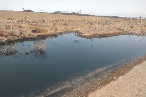 صدور-اخطاریه-زیست-محیطی-به-شرکت‌های-آلاینده