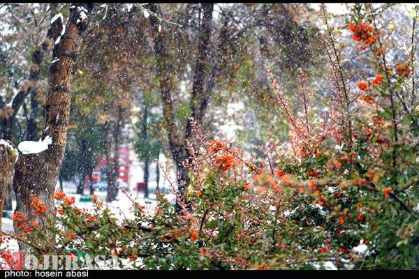 بارش-برف-پاییزی-در-زنجان-به-روایت-تصویر