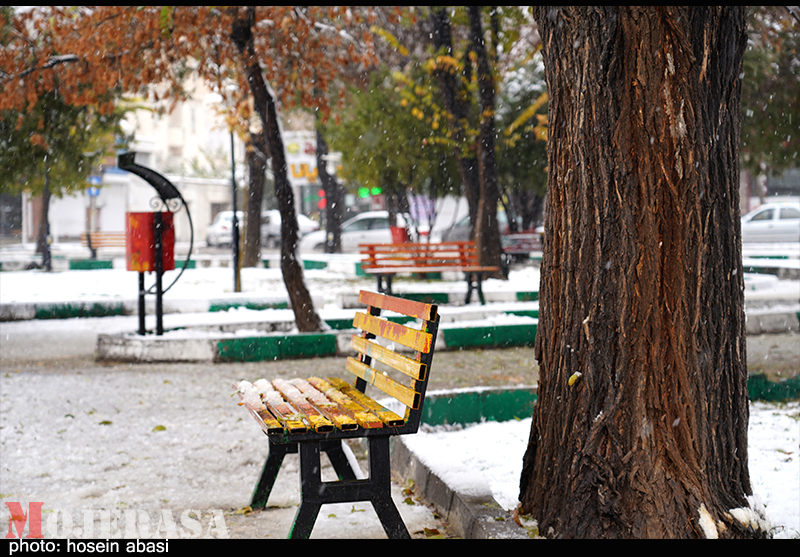 بارش برف زنجان