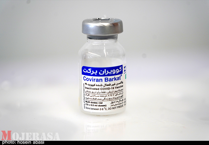 واکسیناسیون زنجان