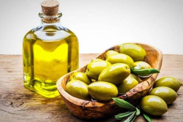 رضایت-زیتون-کاران-از-وضعیت-بازار-زیتون-تولید-زیتون-امسال-در-استان-زنجان-به-حدود-85-هزار-تن-رسید