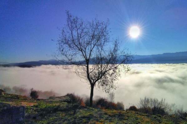 افزایش-دمای-هوا-در-زنجان-