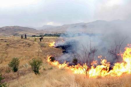 مراتع-ماهنشان-در-خطر-آتش‌سوزی