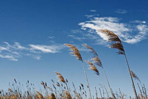 سرعت-وزش-باد-در-زنجان-افزایش-می‌یابد-