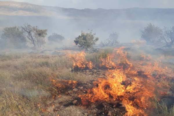 آتش‌سوزی-در-مراتع-گاوازنگ-زنجان-مهار-شد