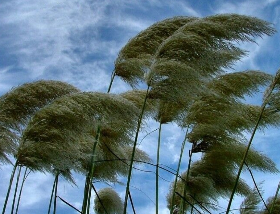 افزایش-سرعت-وزش-باد-در-زنجان