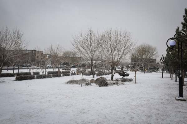 تداوم-بارش-برف-و-افت-دما-در-زنجان-