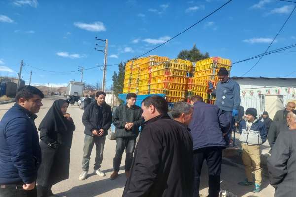 توزیع-طیور-تخم‌گذار-در-روستای-یامچی-زنجان-