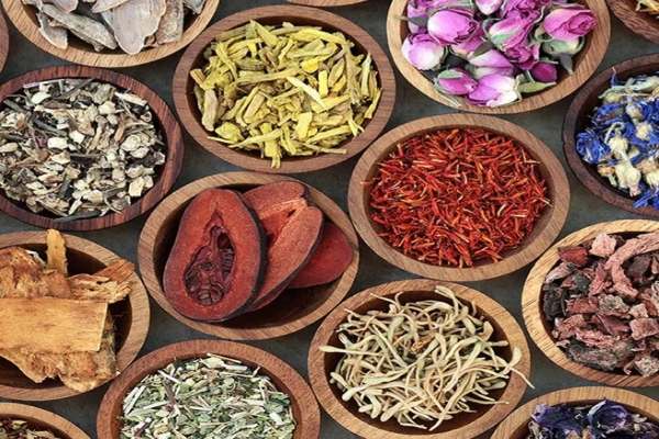 توسعه-کشت-گیاهان-دارویی-زنجان-به-500-هکتار