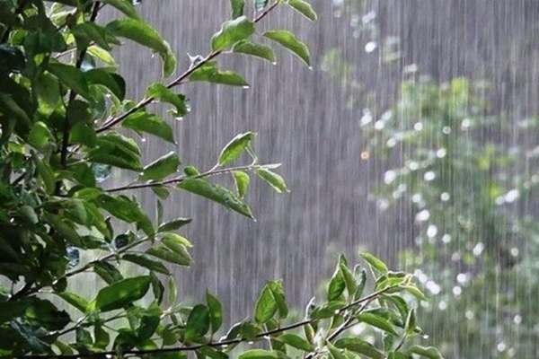 صدور-هشدار-نارنجی-برای-هواشناسی-زنجان