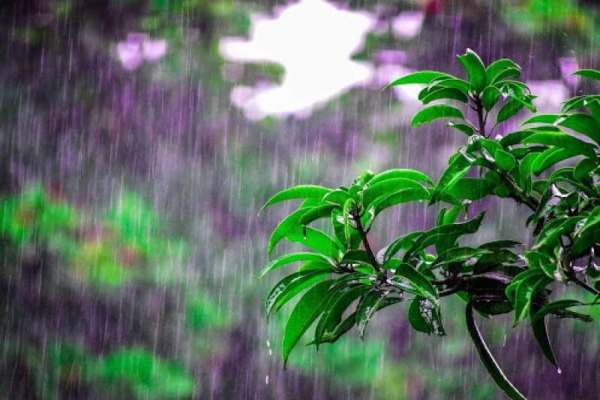 صدور-هشدار-زرد-برای-هواشناسی-زنجان