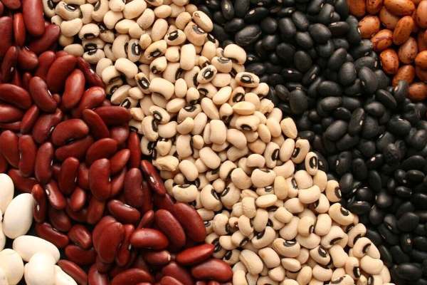 حبوبات-قیمت-ثابت-و-رسمی-ندارند