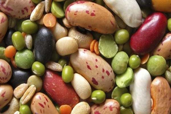 کمبود-حبوبات-بازار-زنجان-تأمین-میشود-