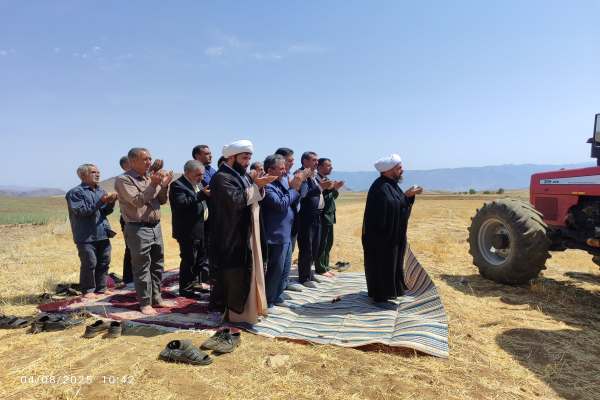 برگزاری-سنت-شکرگزاری-برداشت-گندم-در-ماهنشان