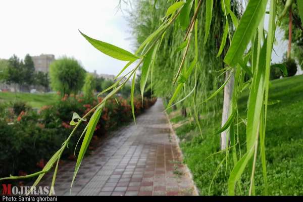 پس-از-باران-در-زنجان