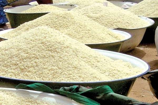 کشف-۳۶۰-کیلوگرم-برنج-فاسد-در-زنجان-