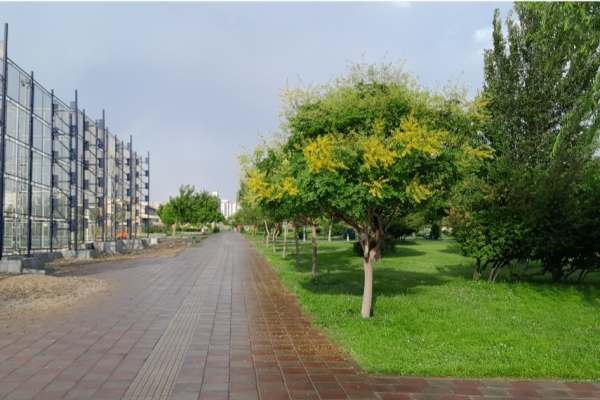 افزوده-شدن-یک-هکتار-به-مساحت-پارک‌های-زنجان