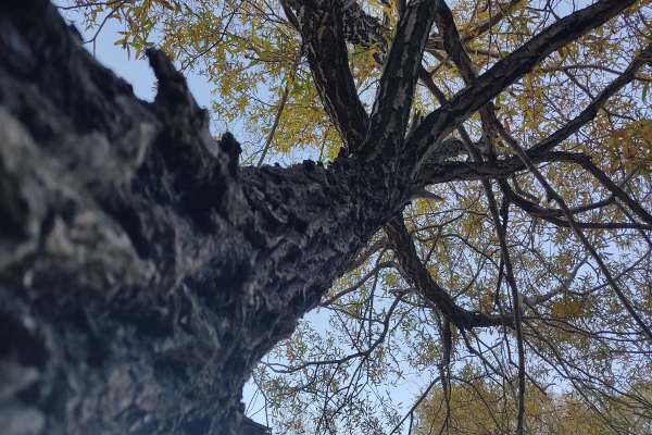 پاییز-زنجان-فصلی-از-رنگ،-آرامش-و-زندگی