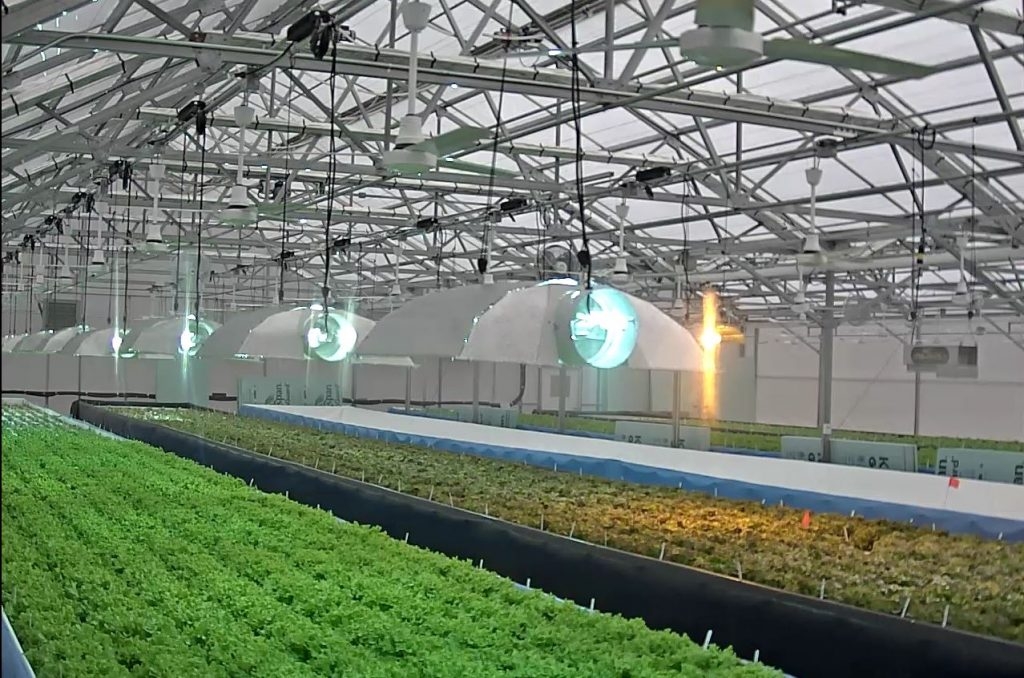 محصولات-گلخانه‌ای-باعث-رشد-اقتصاد-می‌شود-