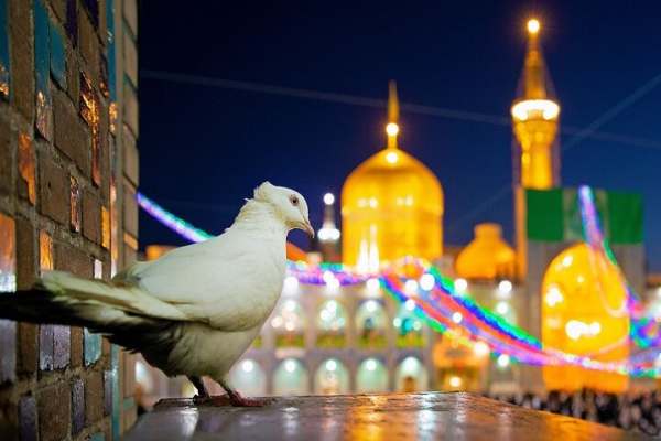 امام-رضا(ع)-پرچم‌دار-وحدت-اسلامی-در-عصر-عباسی