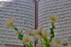 هر-روز-یک-صفحه-قرآن-بخوانیم-