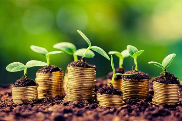 وقتی-تولید،-ثروت-نمی‌سازد