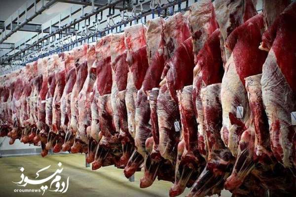 تولید-گوشت-در-جنگ-هم-متوقف-نشد