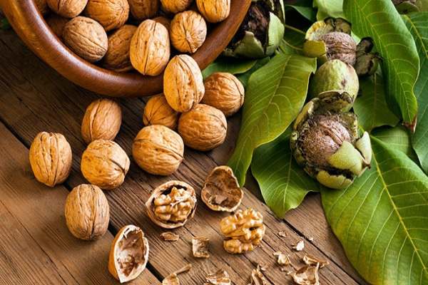 برگزاری-جشنواره-ملی-گردو-در-خدابنده